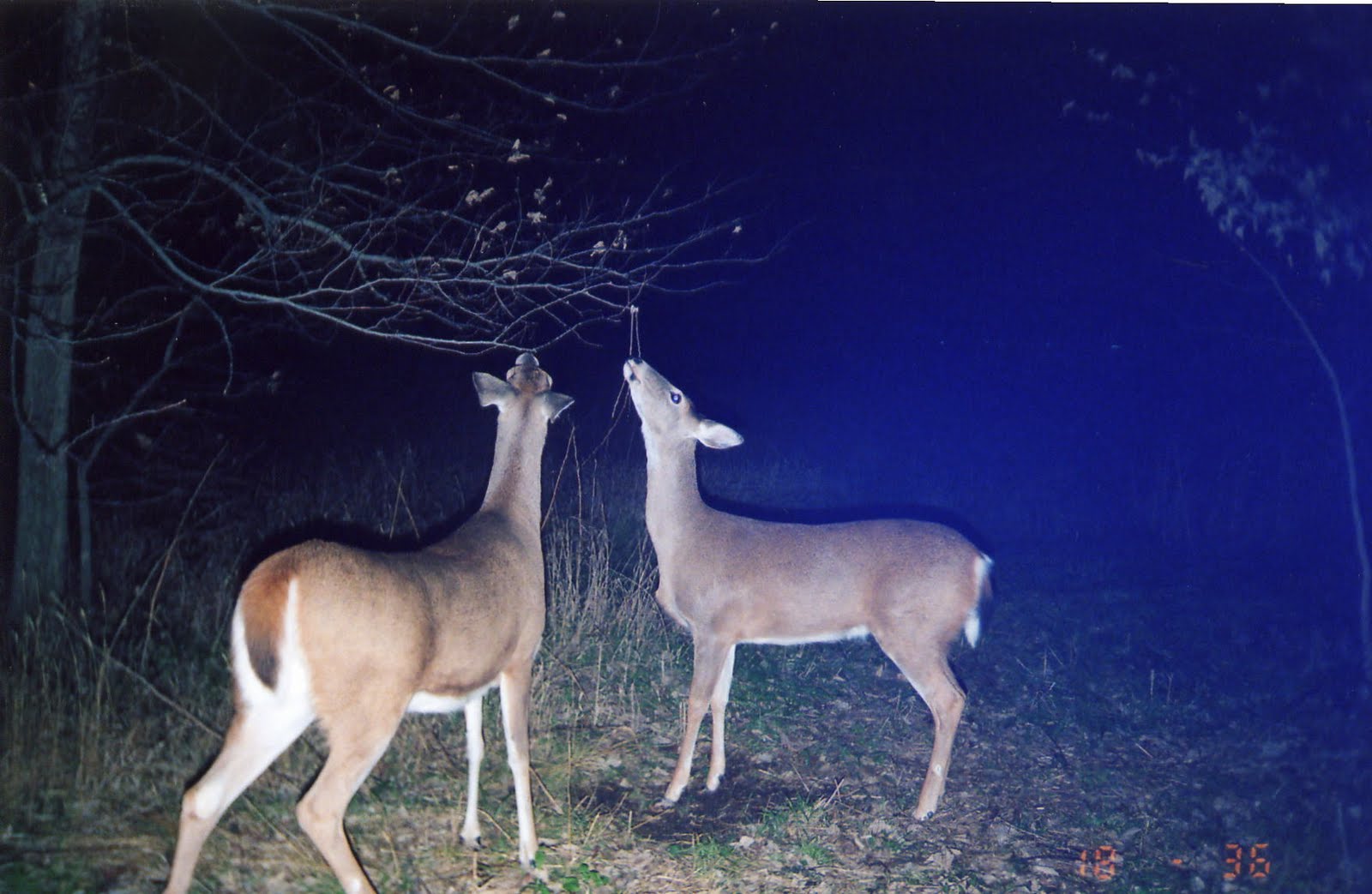 [File1171.jpg]
