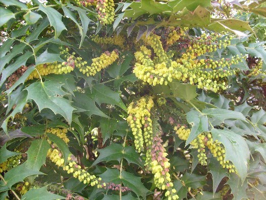 Chambres D Hotes Au Jardin Des Violettes