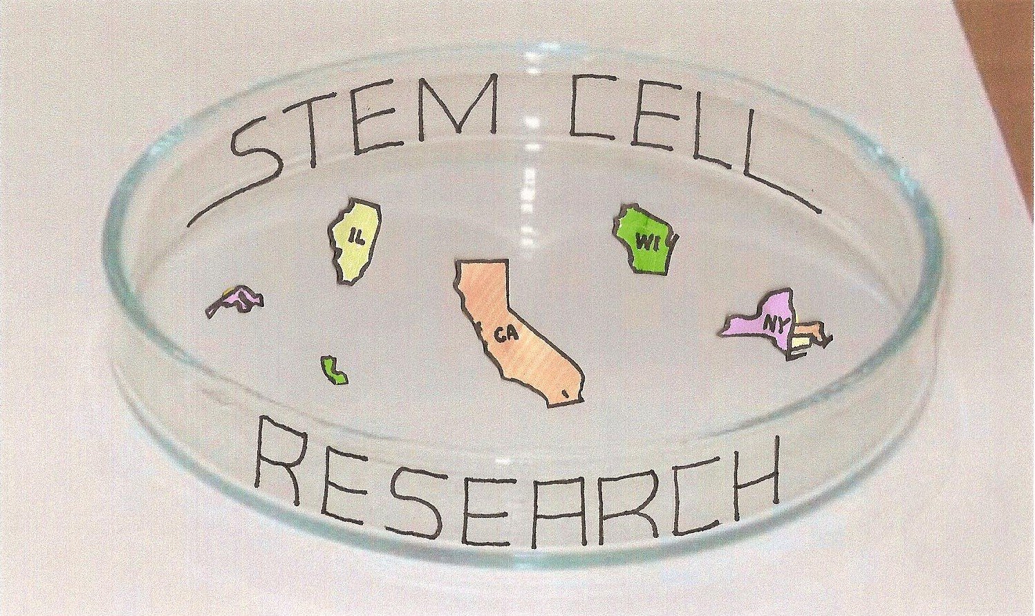 [Libka+stem+cell+petri+dish.jpg]