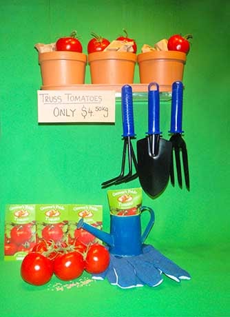 JKA Designs: WINDOW DISPLAY- Garden Display