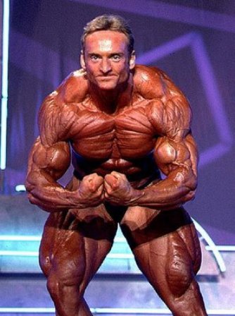 SEARCH AND BUY THIS PRODUCT world bodybuilders pictures: beautiful muscles austrian