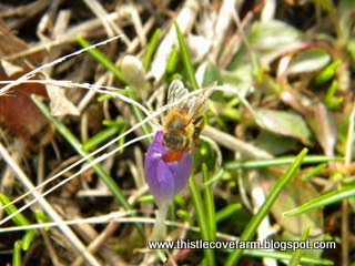 [DSCN3642.JPG]
