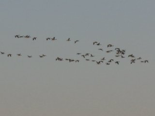 [IMG_9165.jpg]