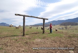 [DSC_0946.JPG]