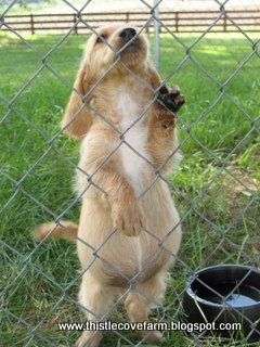 [IMG_1129.JPG]
