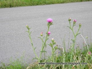 [DSCN0625.JPG]