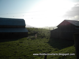[DSCN0830.JPG]