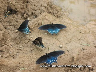 [IMG_2112.JPG]