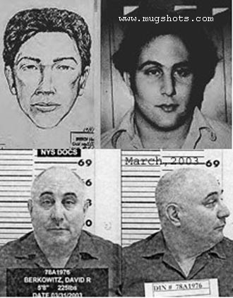[P__David-Berkowitz.jpg]