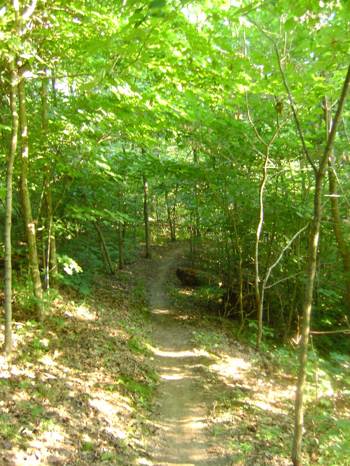 Pocket Ranger Adventures of a Mini Hiker Matson Hill Park success
