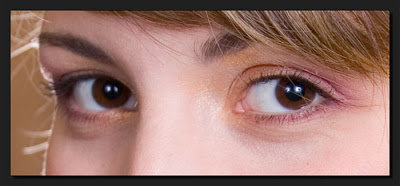 OUR PRESCHOOL HOMESCHOOL: JUNGLE, KITTENS, EYES,LIGHTHOUSE