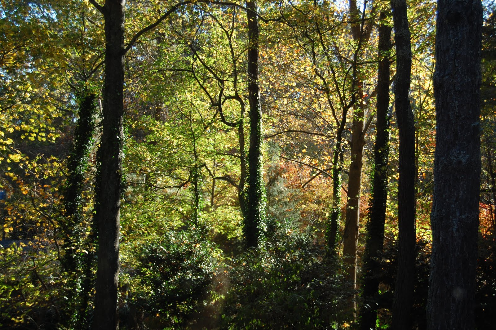[DSC_0235.JPG]