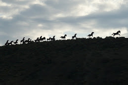 Wild Horses Monument