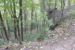 Hiking in the gorge