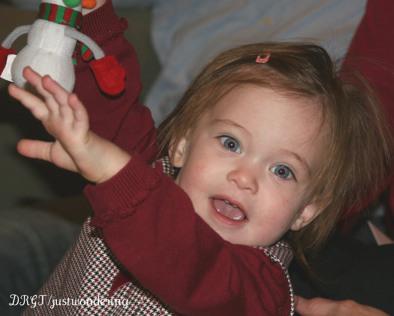 [gracie+lighter+cropped.jpg]