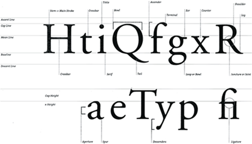 typography x height