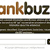 RankBuzz : tout savoir sur un site