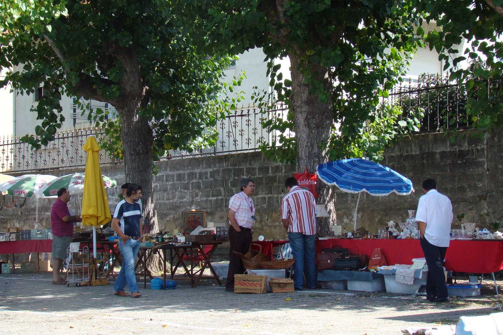 [DSC07834.JPG]
