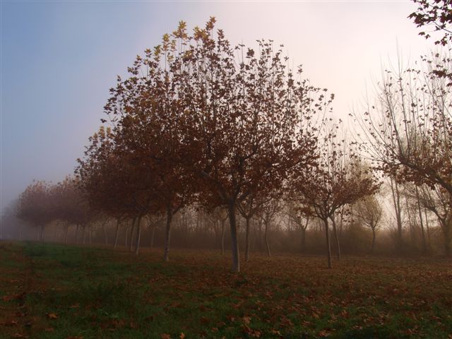 [PB281044.JPG]