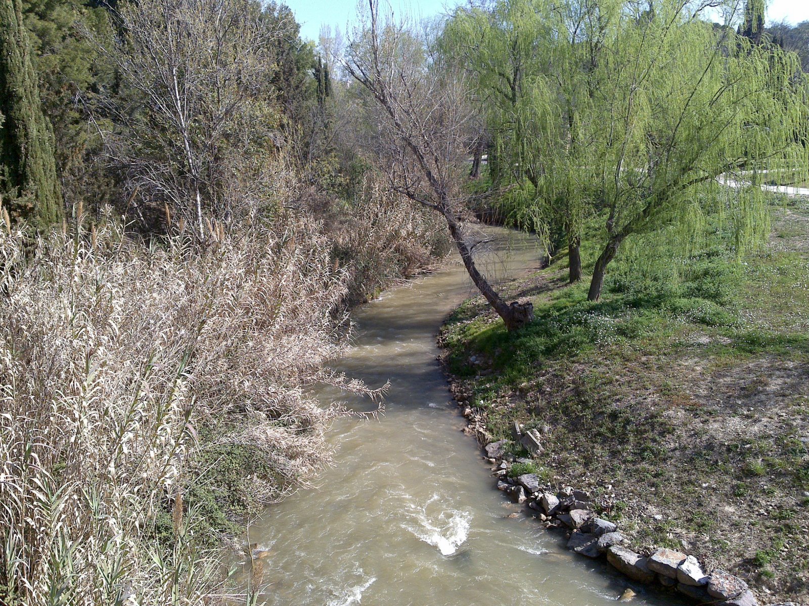 [12032009004.jpg]