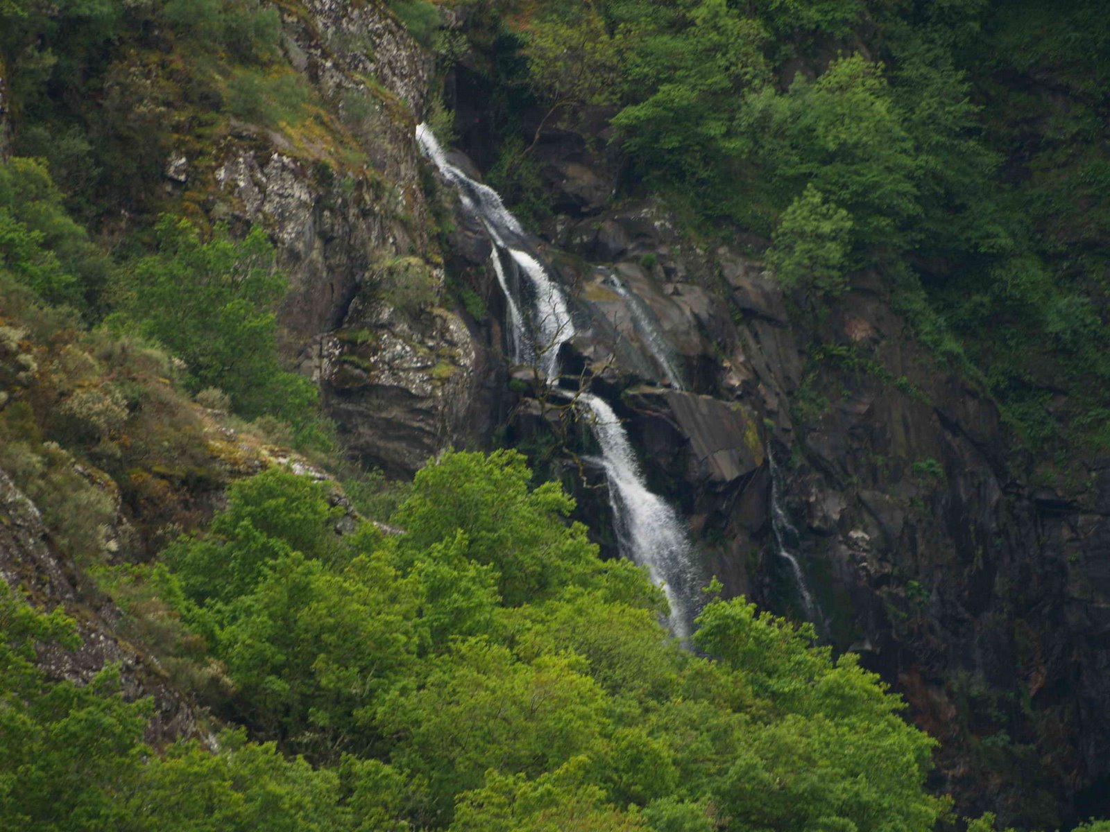 [P4240754.JPG]