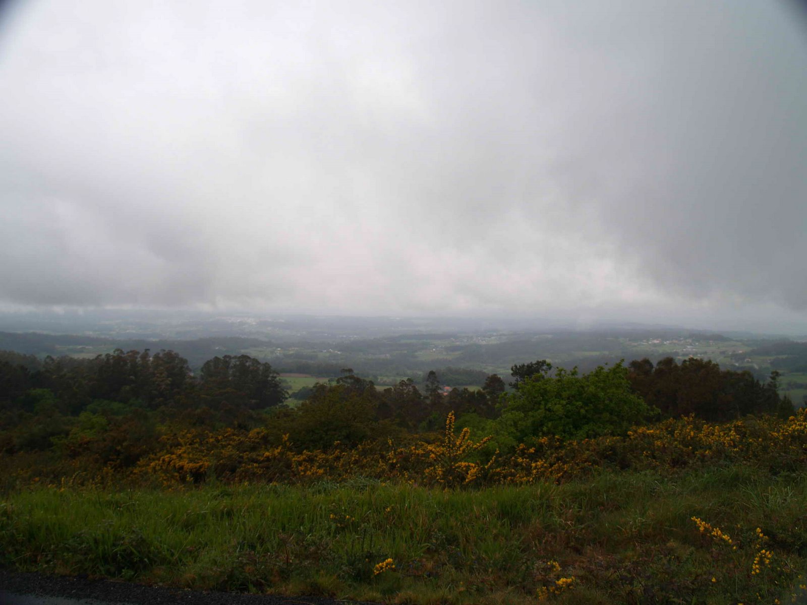 [P4240727.JPG]