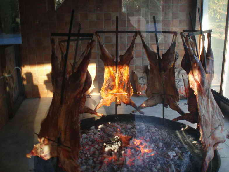 [ARGENTINA20071112_98.JPG]