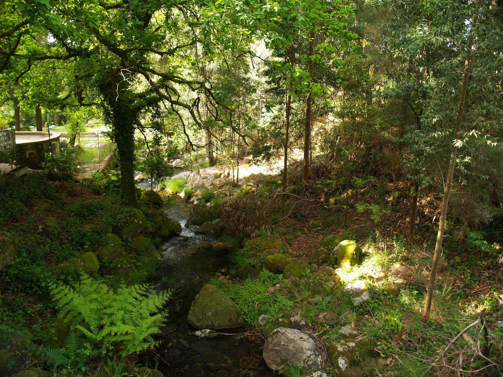 [P4200250.JPG]
