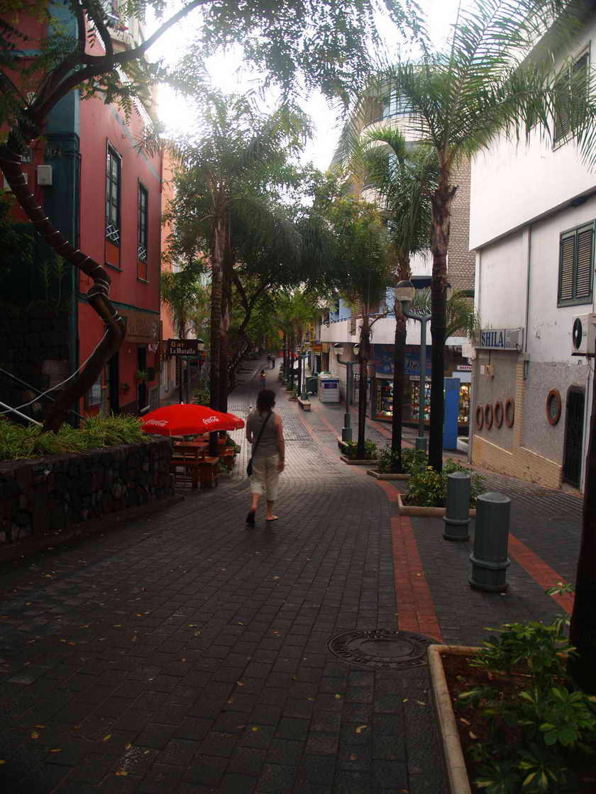 [PB013084.JPG]