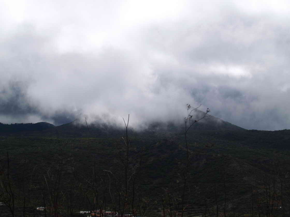 [PB023138.JPG]