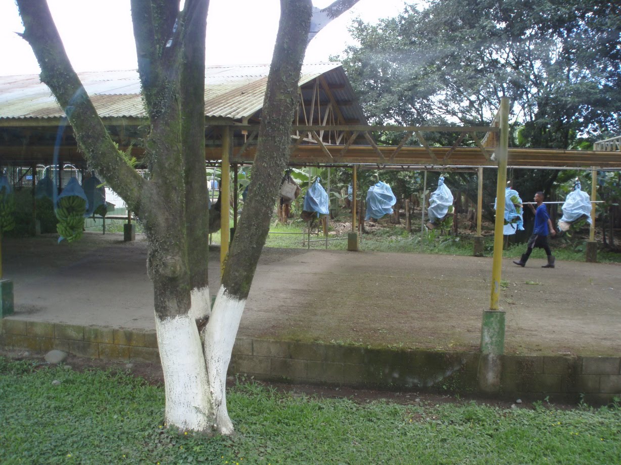 [P9050128.JPG]