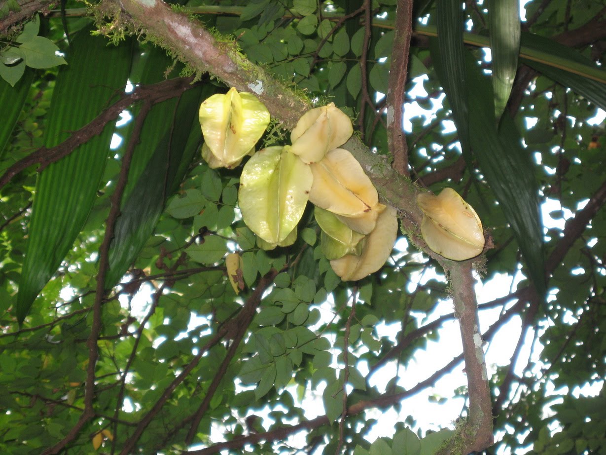 [IMG_1547.JPG]