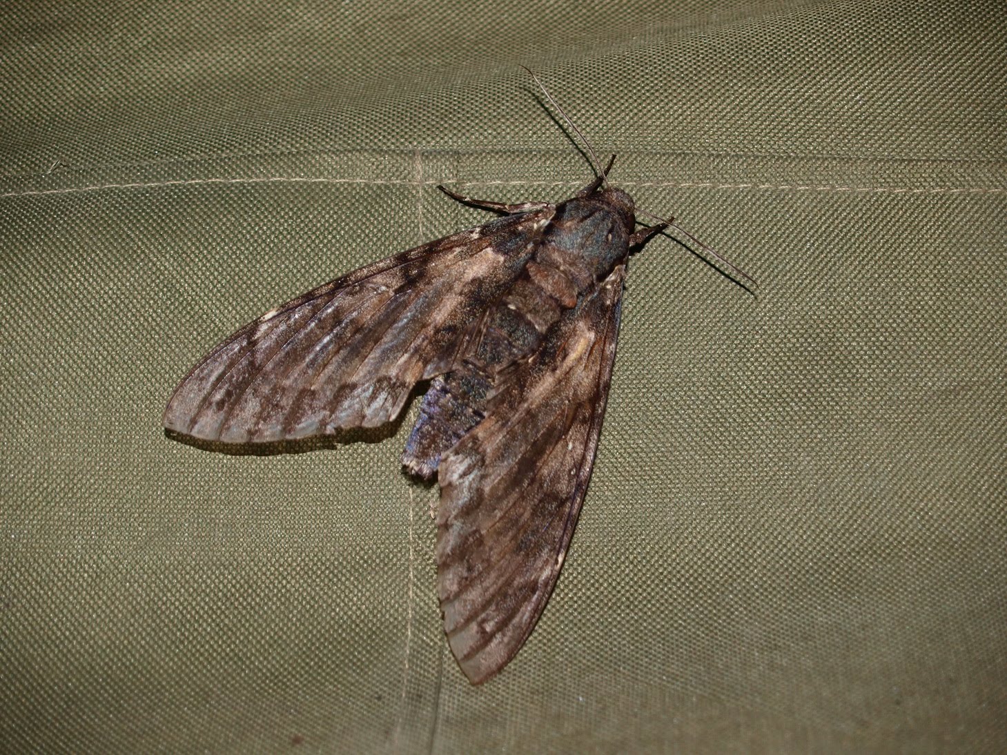 [P9081849.JPG]