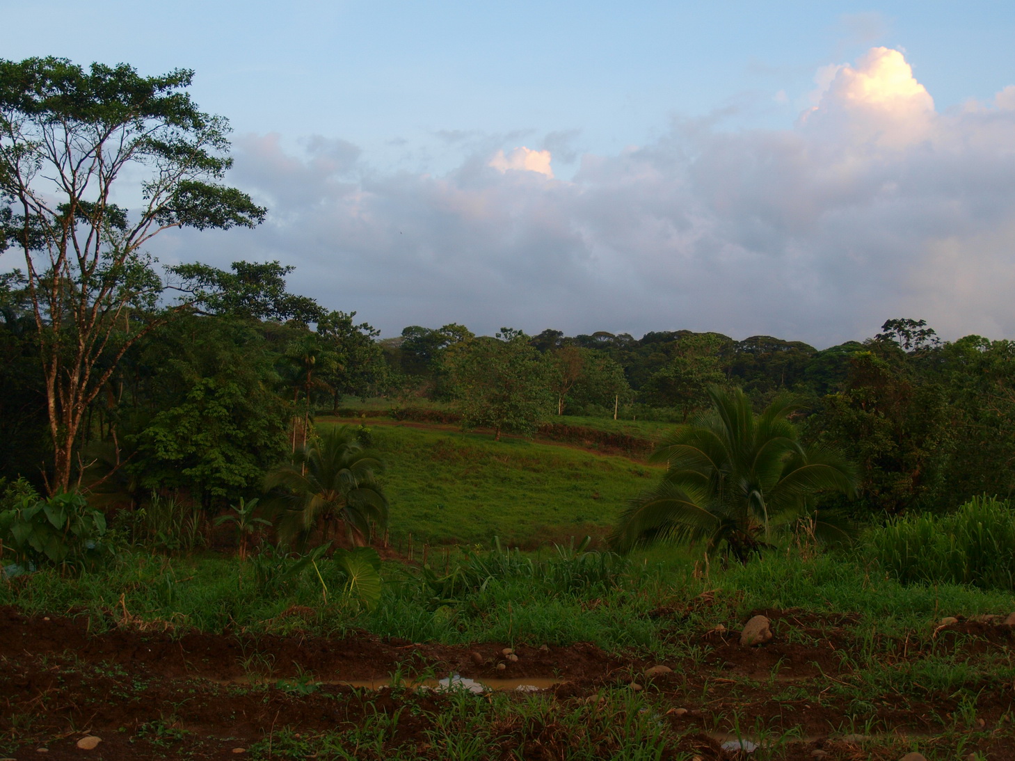 [P9081845.JPG]
