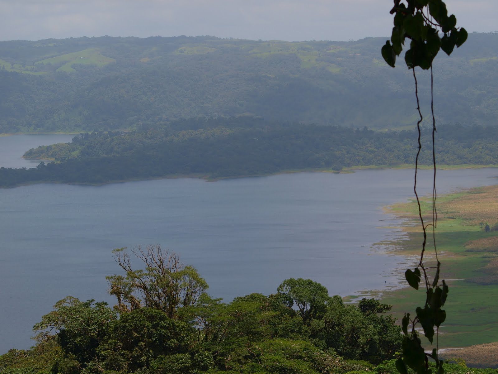[P9092020.JPG]