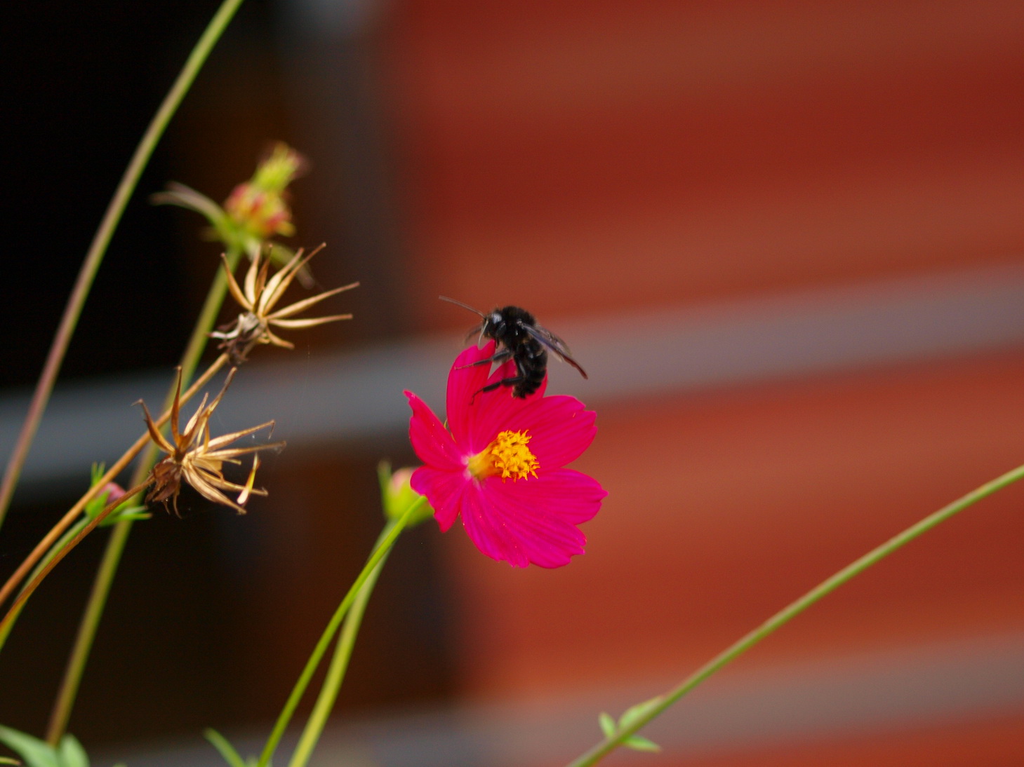 [P9112163.JPG]