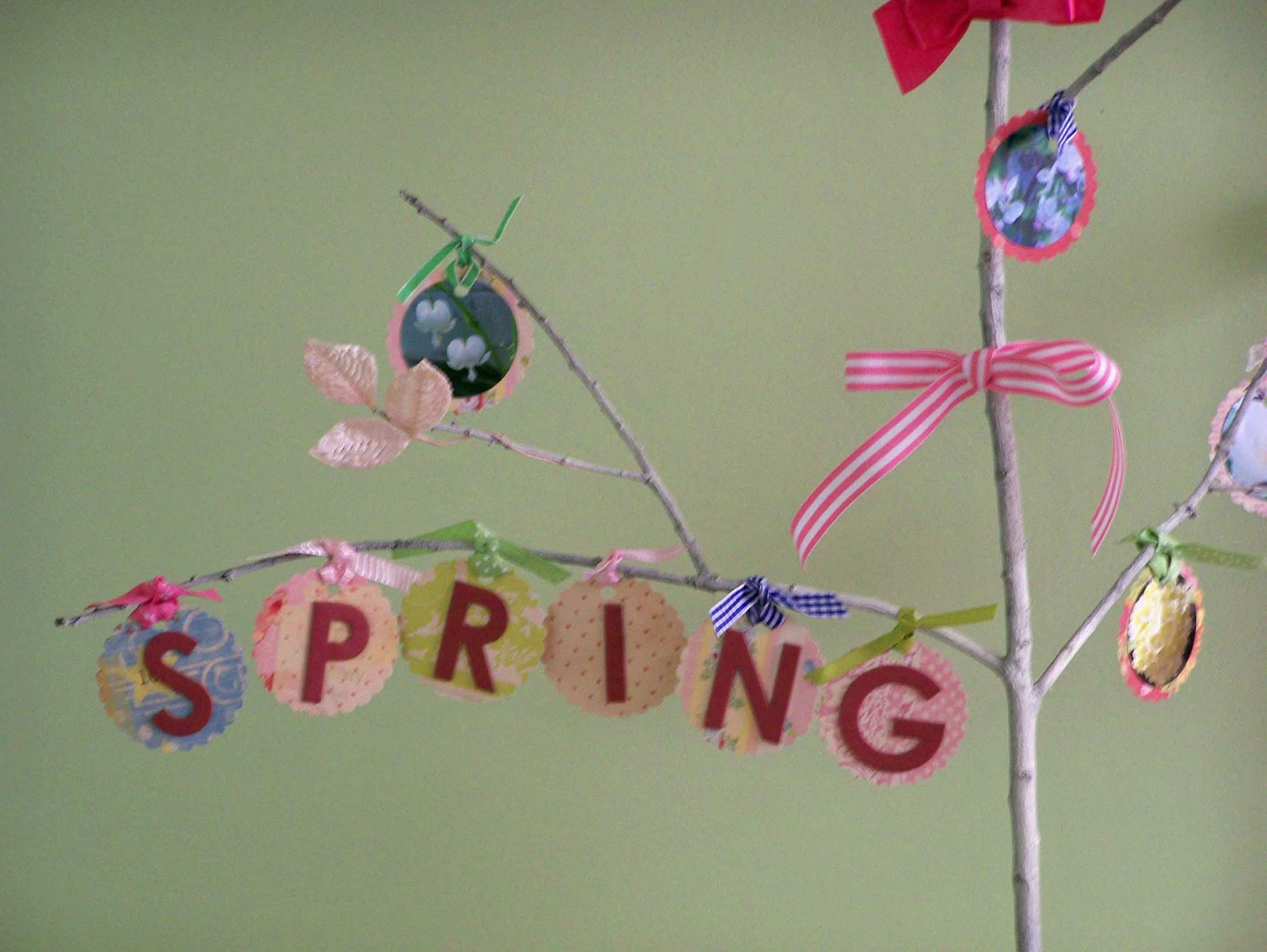 [Spring-tree-closeup-for-web.jpg]