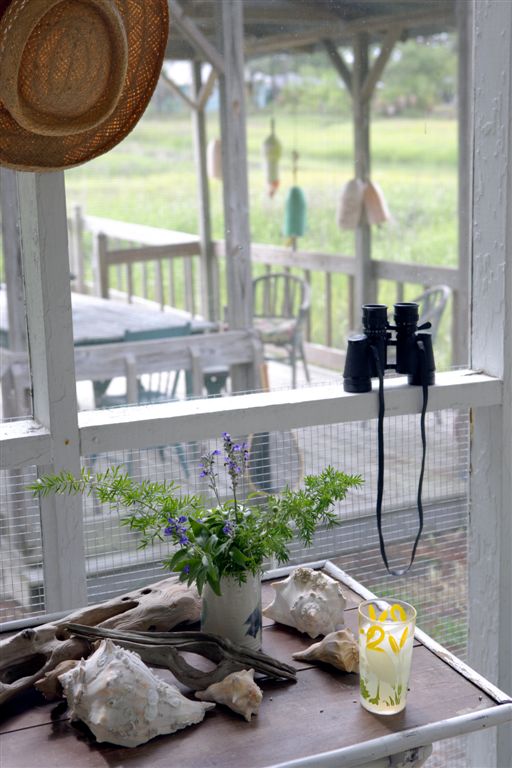 [fiddlers+for+web+(2).JPG]