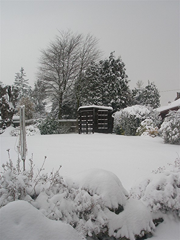 [2009+02+02+snow+1a.jpg]