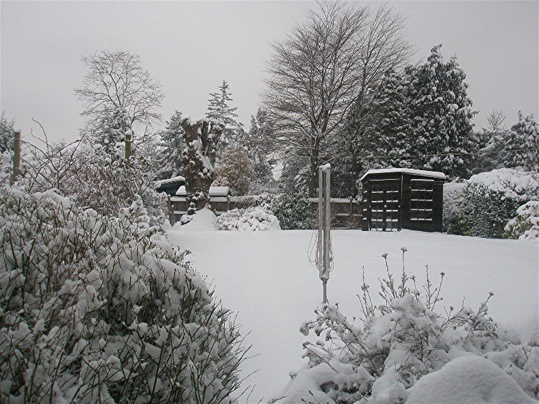 [2009+02+02+snow+1.jpg]