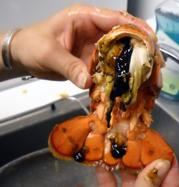 Lobster Gram Gourmet Recipes 6/27/10 7/4/10