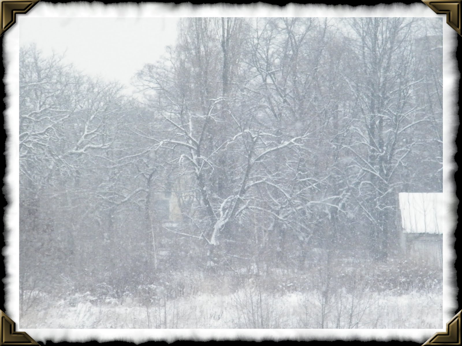 [Winter+2.jpg]