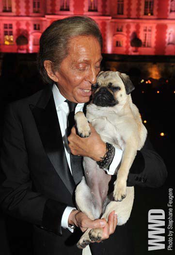 valentino and pugs farr 1 pugs in fashion valentino and pugs farr 1 pugs in fashion