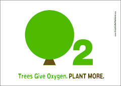 Saving Trees Posters