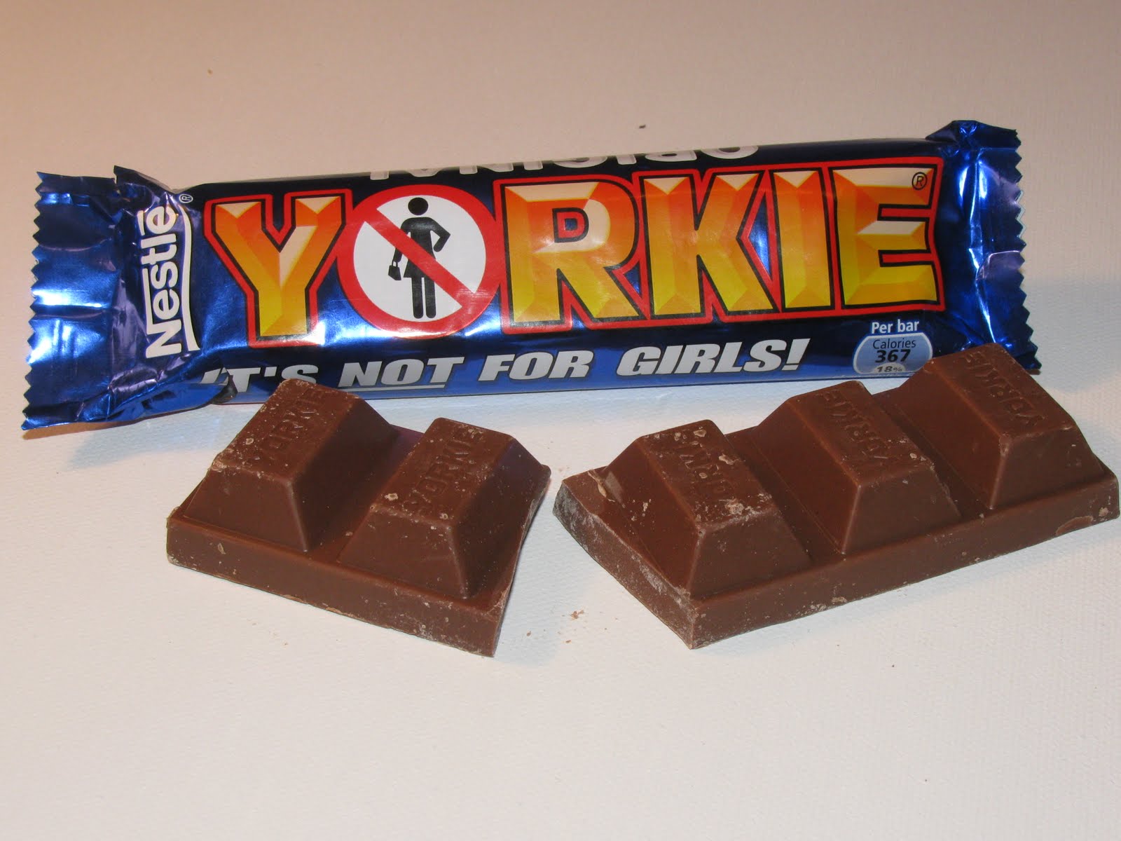 [yorkie.JPG]