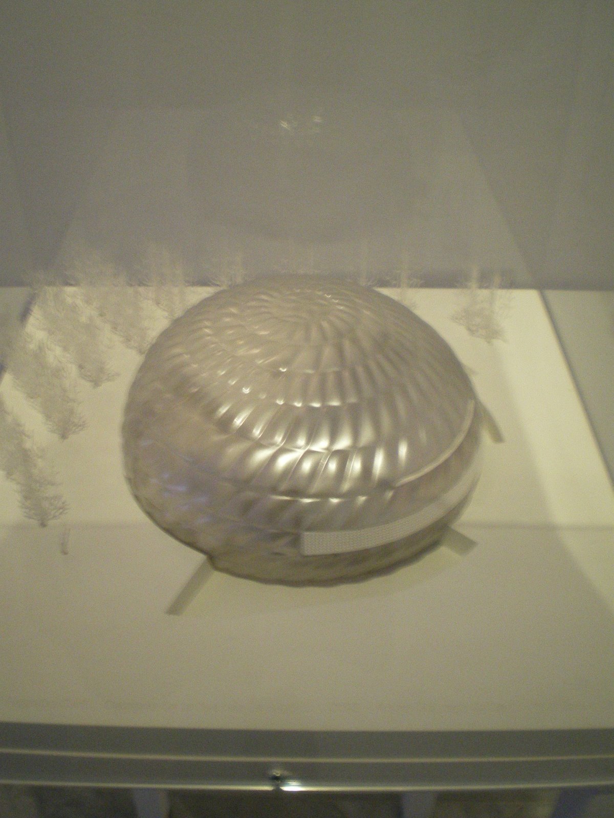 [IMGP0031.JPG]