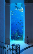 AtlantisThe Palm, Dubai (ambassador lagoon low)