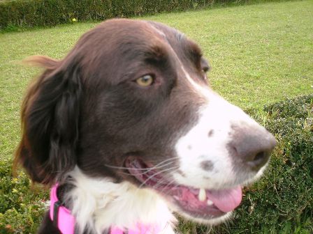 [Pink+lady+smiling.JPG]