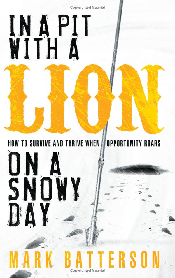 [lion]