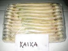 KAIKA